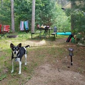 Review photo of Lake Wissota State Park Campground by Brook Jorgensen ಌ., August 4, 2018