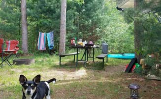 Brook Jorgensen ಌ.'s photo of camping with pets at Lake Wissota State Park Campground near Menomonie, WI