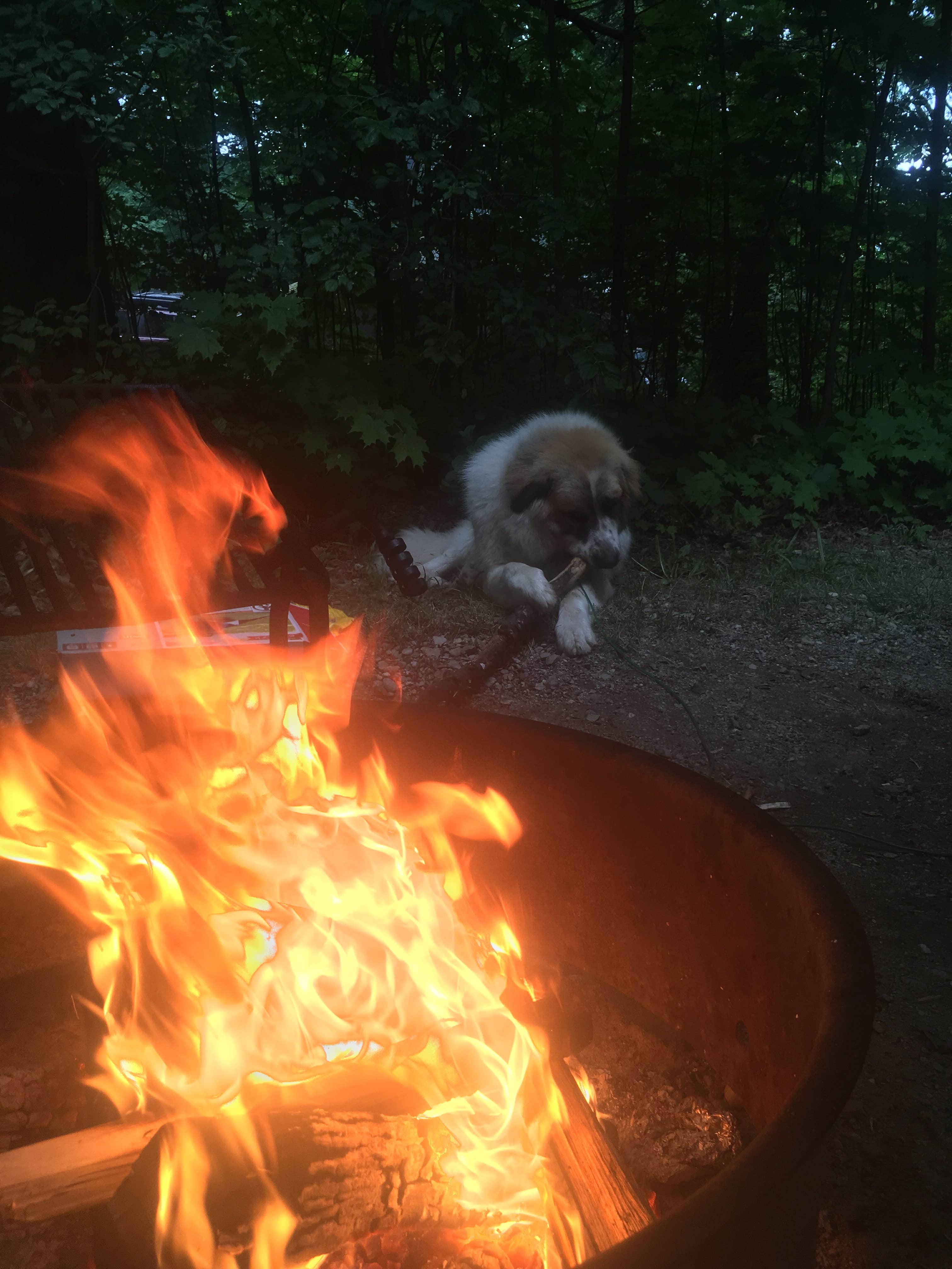 Camper-submitted photo at Grand Isle State Park Campground in Vermont