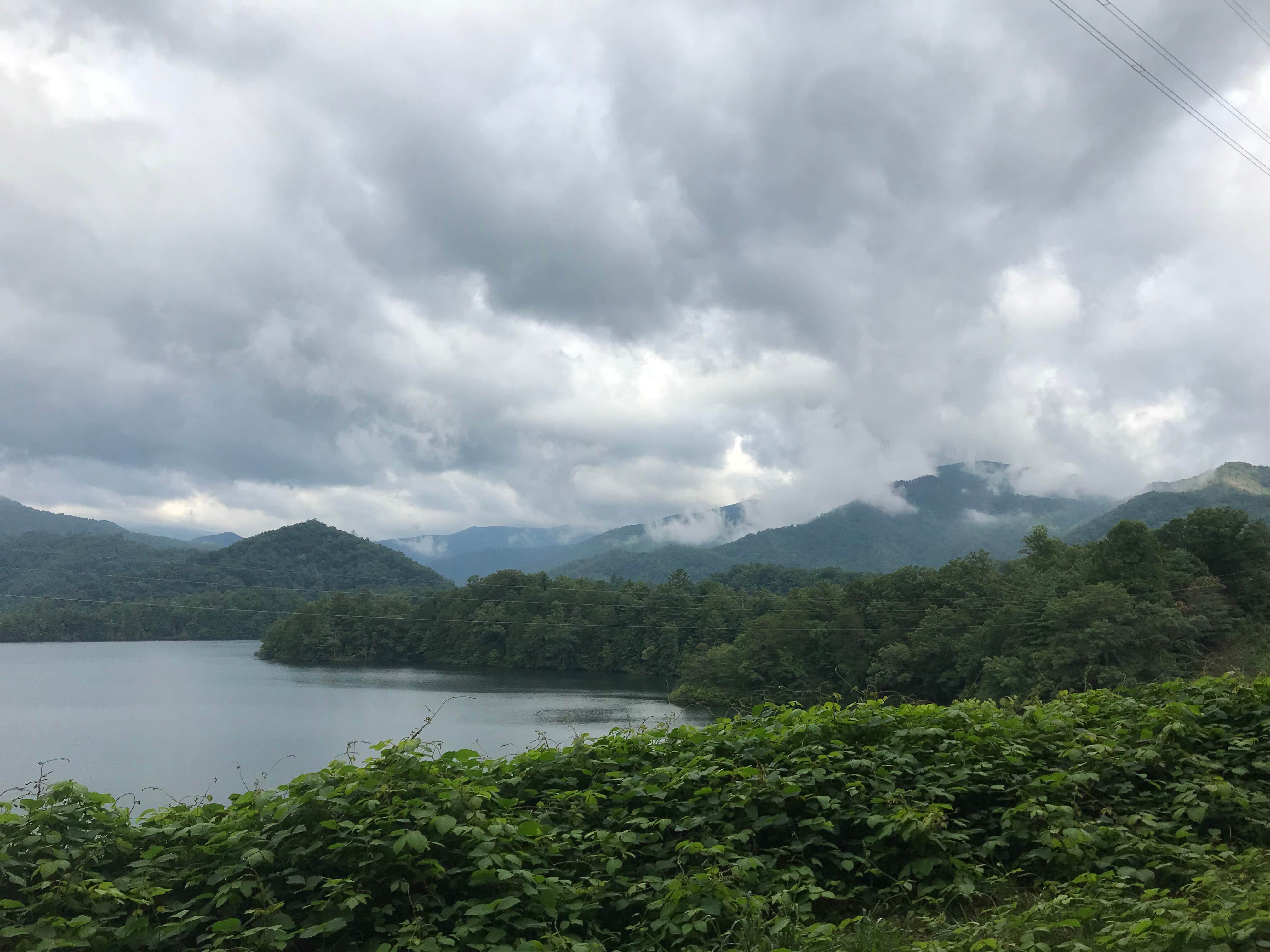Georgina L.'s photo of a dispersed camping area at Lake Santeetlah Dispersed near Murphy, NC