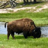 Review photo of Fern Lake — Yellowstone National Park by Chelsea W., August 4, 2018