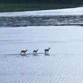 Review photo of Fern Lake — Yellowstone National Park by Chelsea W., August 4, 2018