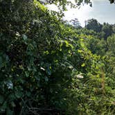 Review photo of Providence Canyon State Park Campground by Kristin B., August 4, 2018