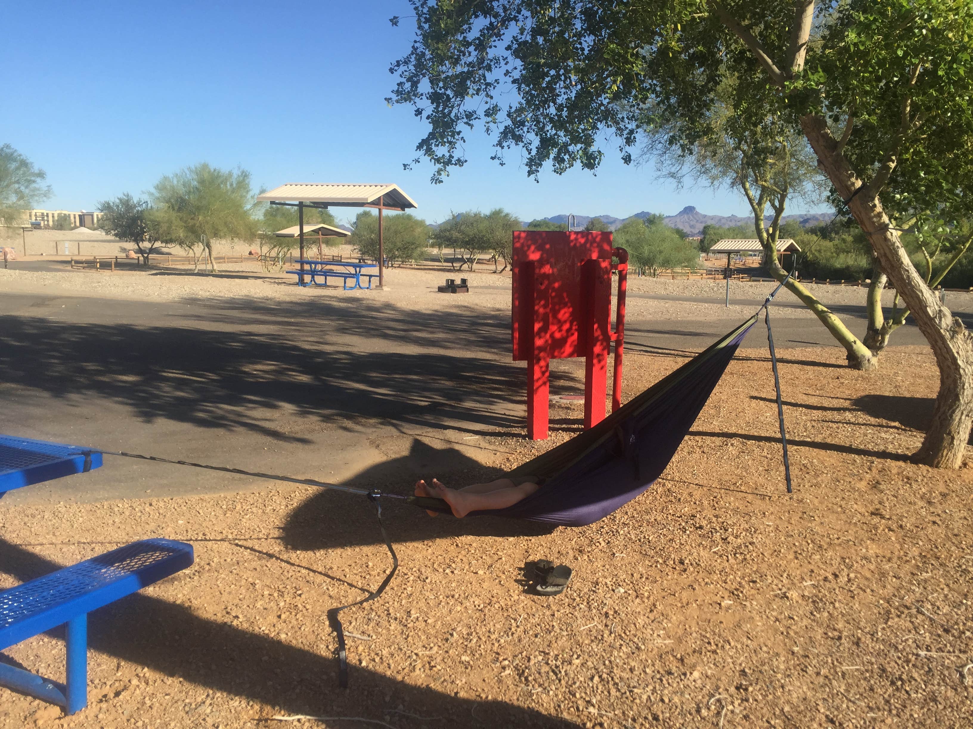 Camper submitted image from Lake Havasu State Park Campground - 3