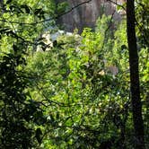 Review photo of Providence Canyon State Park Campground by Kristin B., August 4, 2018