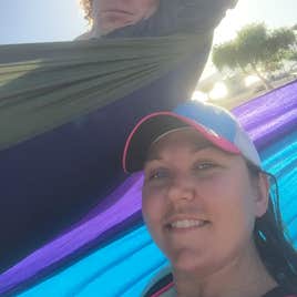 Lake Havasu State Park Camping | The Dyrt