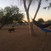 Review photo of Lake Havasu State Park Campground by Jamie O., July 29, 2016