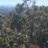 Review photo of Cochiti Recreation Area by Stacy R., August 4, 2018