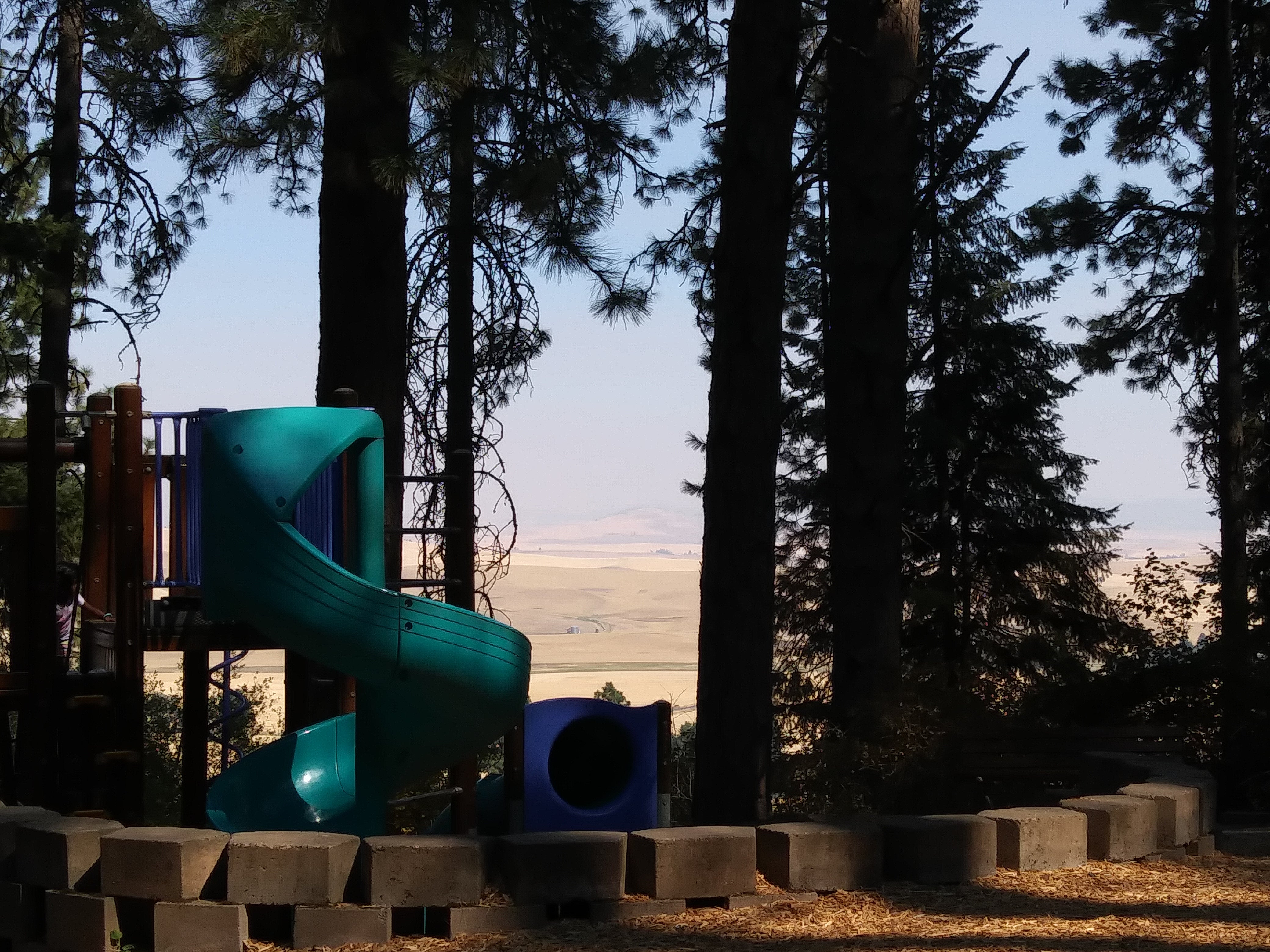 Camper submitted image from Kamiak Butte County Park - 4