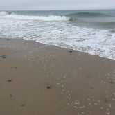 Review photo of East Beach State Beach by Mackenzie B., August 4, 2018