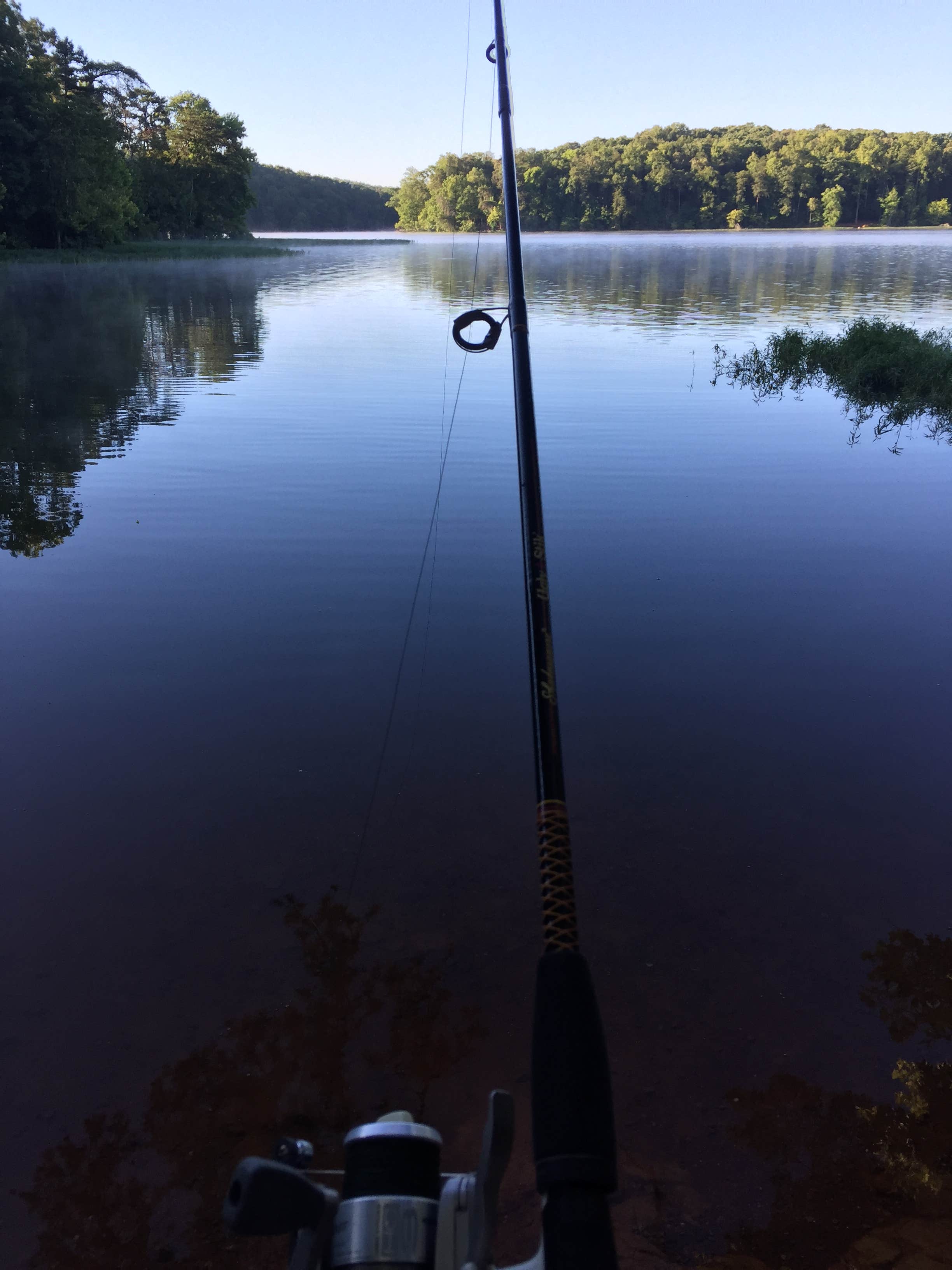 Badin Lake Recreation Area | The Dyrt