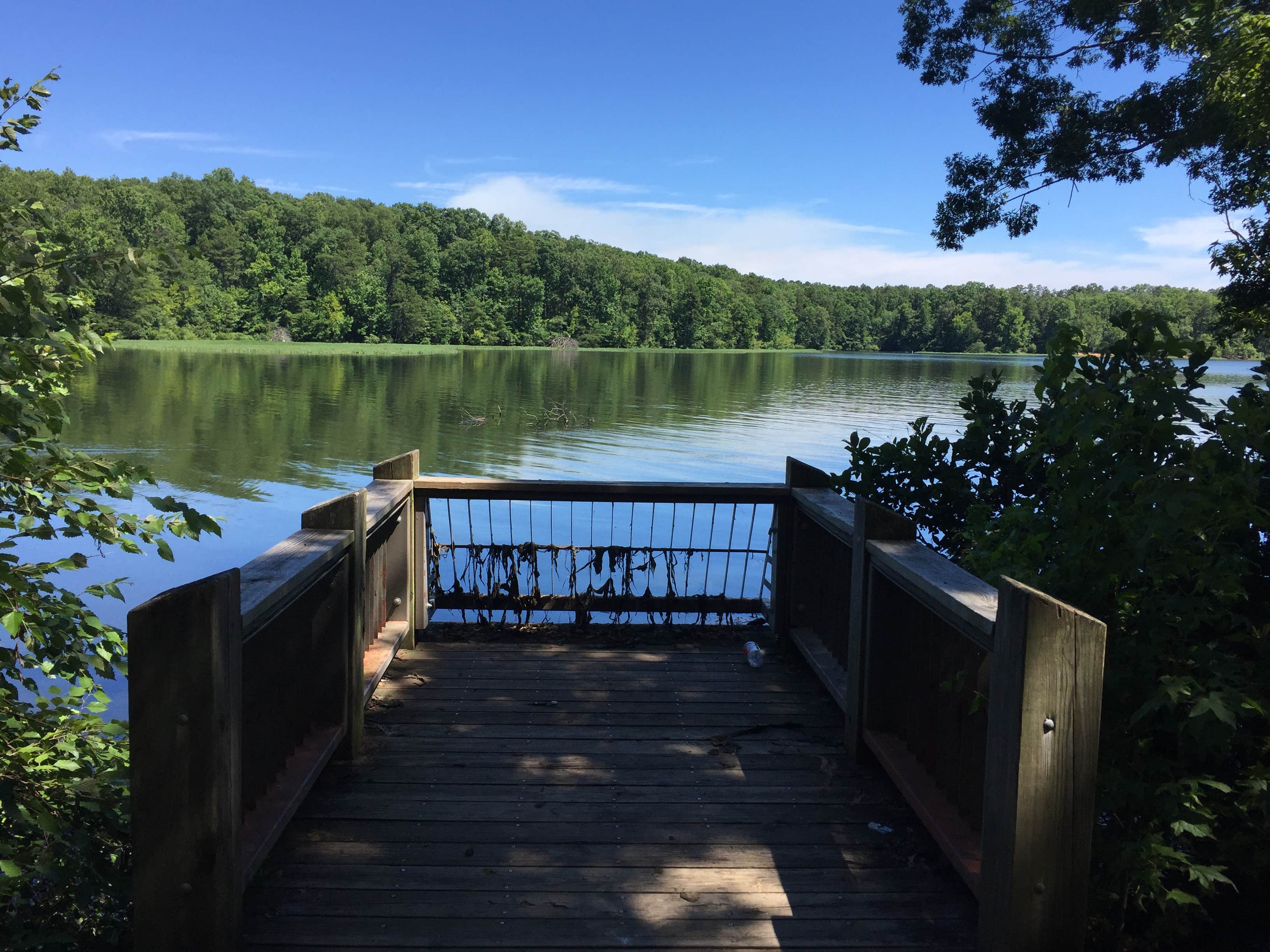 Camper submitted image from Badin Lake Campground - 2