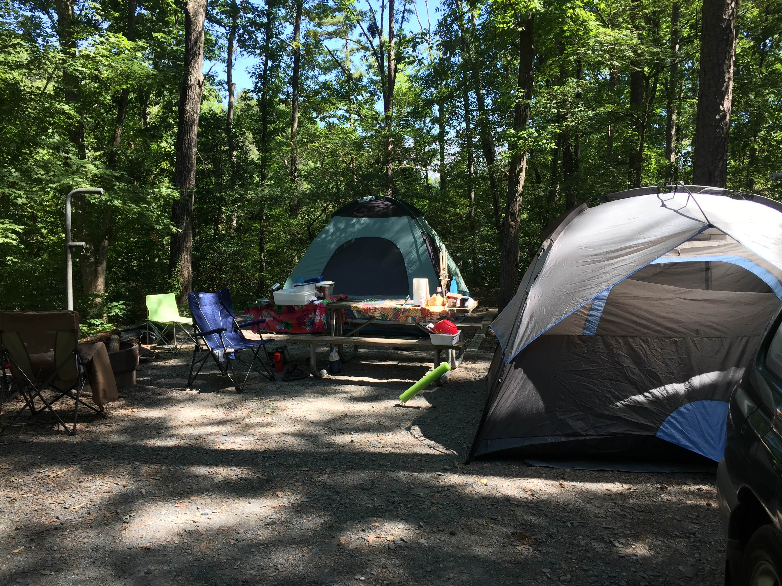 Camper submitted image from Badin Lake Campground - 3