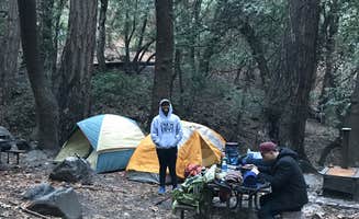Stephen D.'s photo at Spruce Grove Campground near Elk Creek, CA