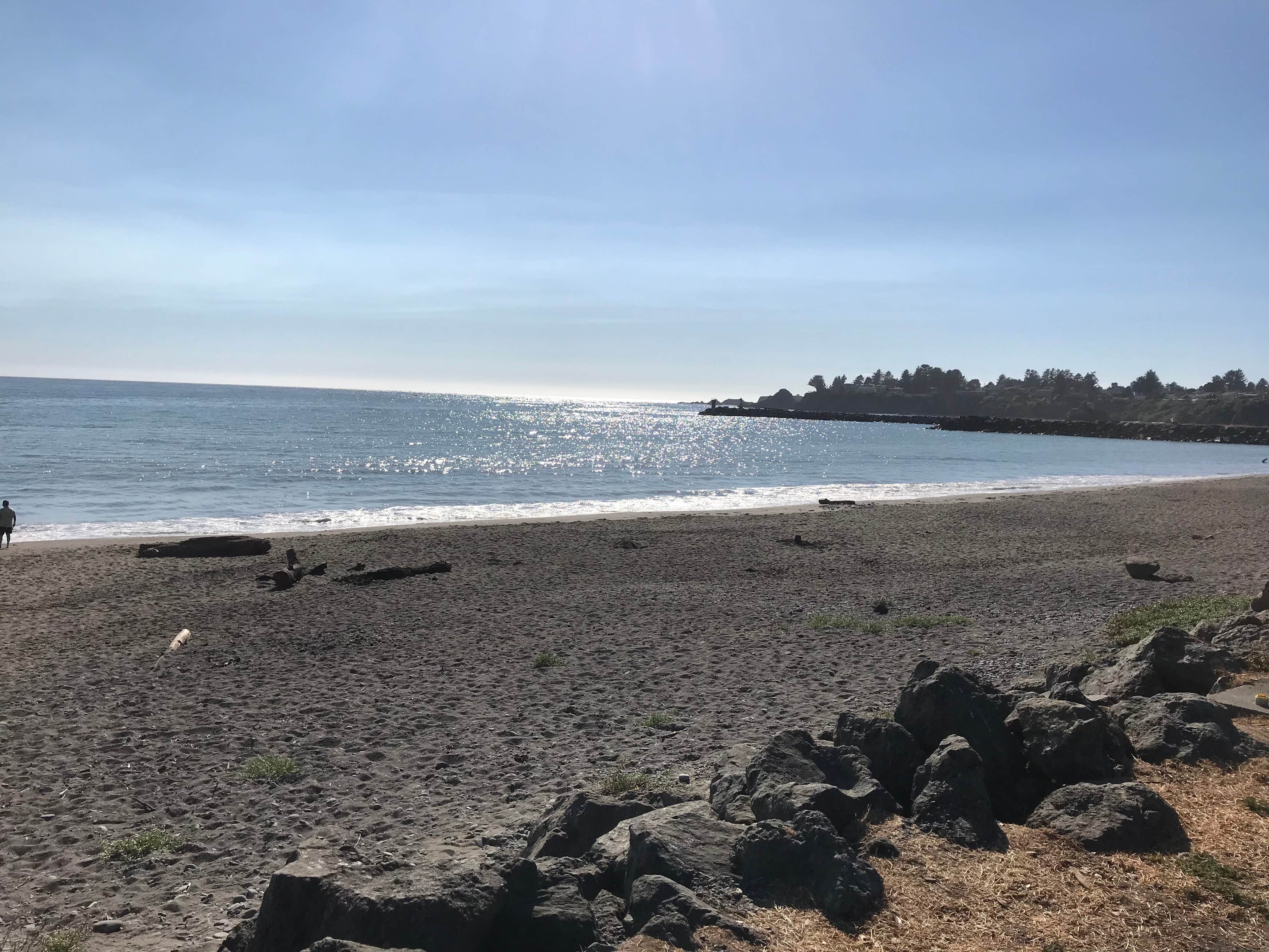 Port Of Brookings Harbor Beachfront RV Park The Dyrt