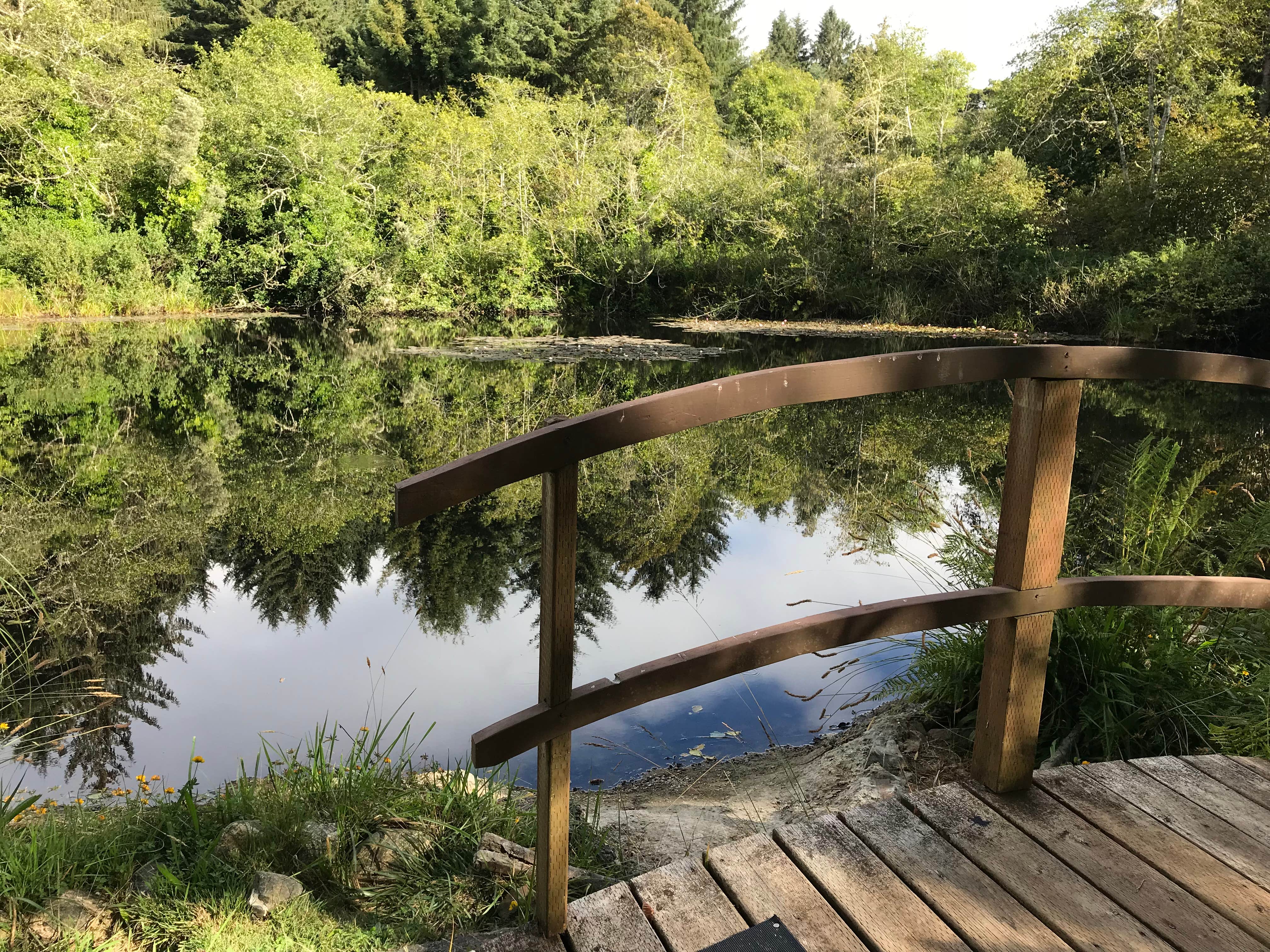 Camper submitted image from Azalea Glen RV Park & Campground - 2
