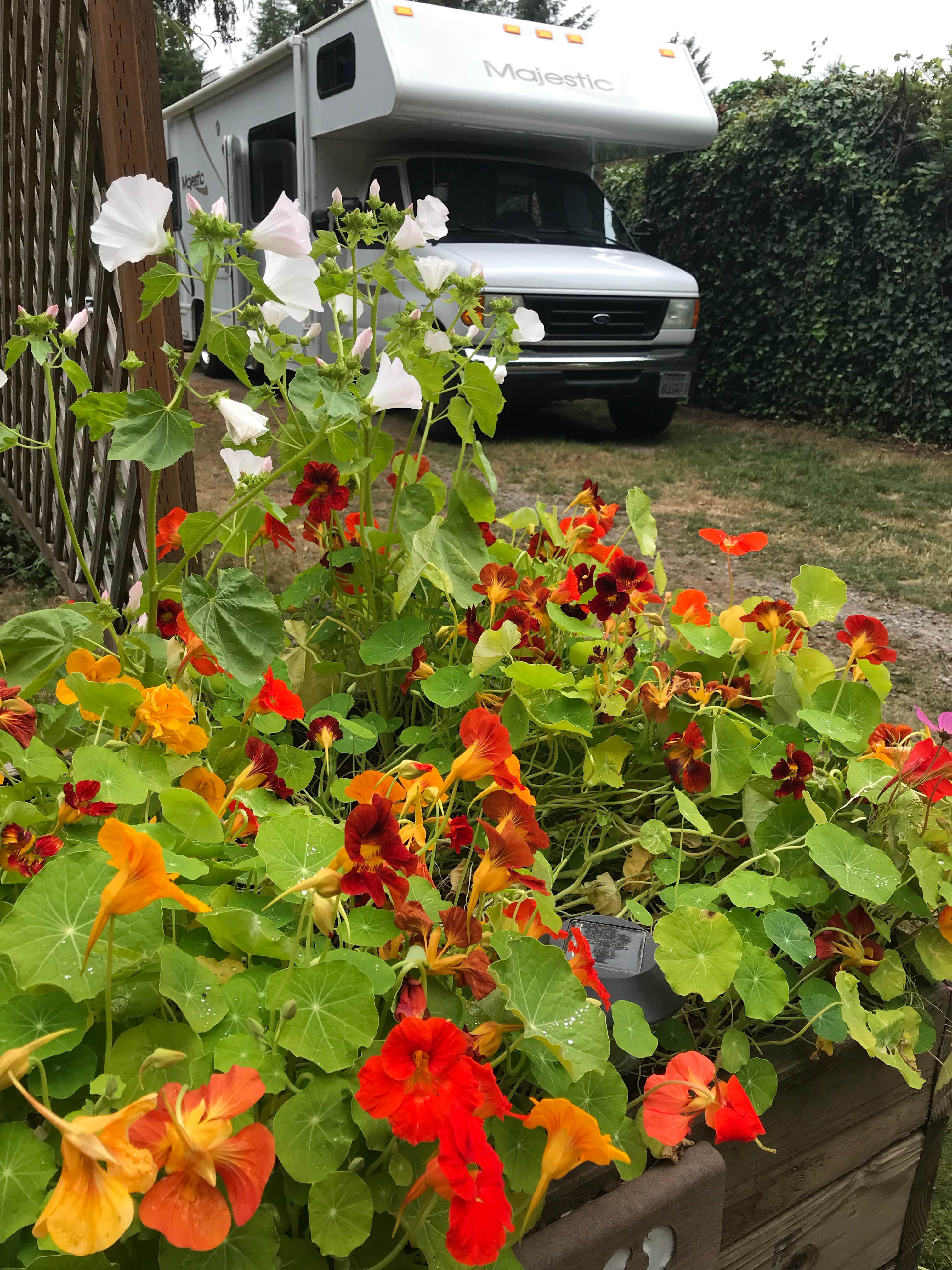 Donna D.'s photo of rv camping at Azalea Glen RV Park & Campground near Trinidad, CA