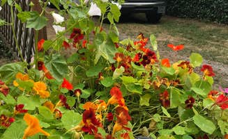 Donna D.'s photo of rv camping at Azalea Glen RV Park & Campground near Arcata, CA