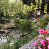 Review photo of Azalea Glen RV Park & Campground by Donna D., August 4, 2018