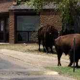 Review photo of Caprock Canyons State Park -  Honey Flat by Chris K., August 4, 2018