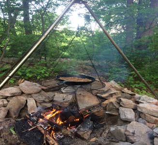 Camper-submitted photo from Allaire State Park - TEMPORARILY CLOSED