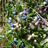 Review photo of Au Sable East Backcountry Campsites — Pictured Rocks National Lakeshore by Annie C., July 30, 2016