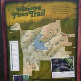 Review photo of Tyler State Park Campground by Chris K., August 4, 2018