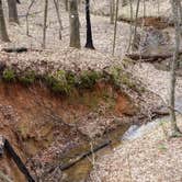Review photo of Tyler State Park Campground by Chris K., August 4, 2018