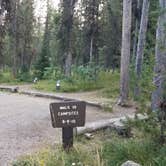 Review photo of Lizard Creek Campground — Grand Teton National Park by Mary S., August 4, 2018