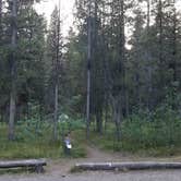 Review photo of Lizard Creek Campground — Grand Teton National Park by Mary S., August 4, 2018