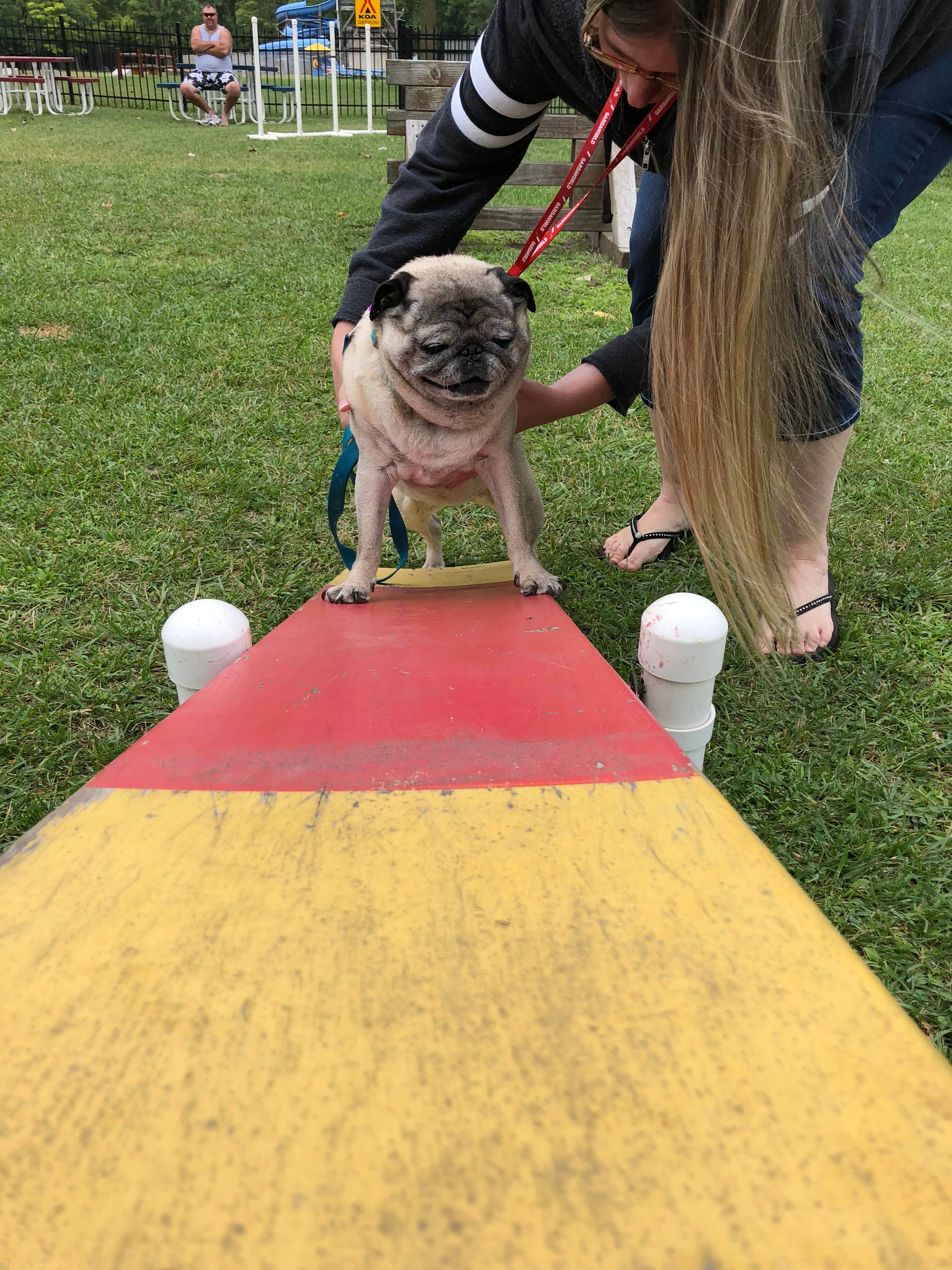 Camper-submitted photo at Monroe-Toledo North KOA near Deerfield, MI