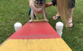 Beth G.'s photo of camping with pets at Monroe-Toledo North KOA near Swanton, OH