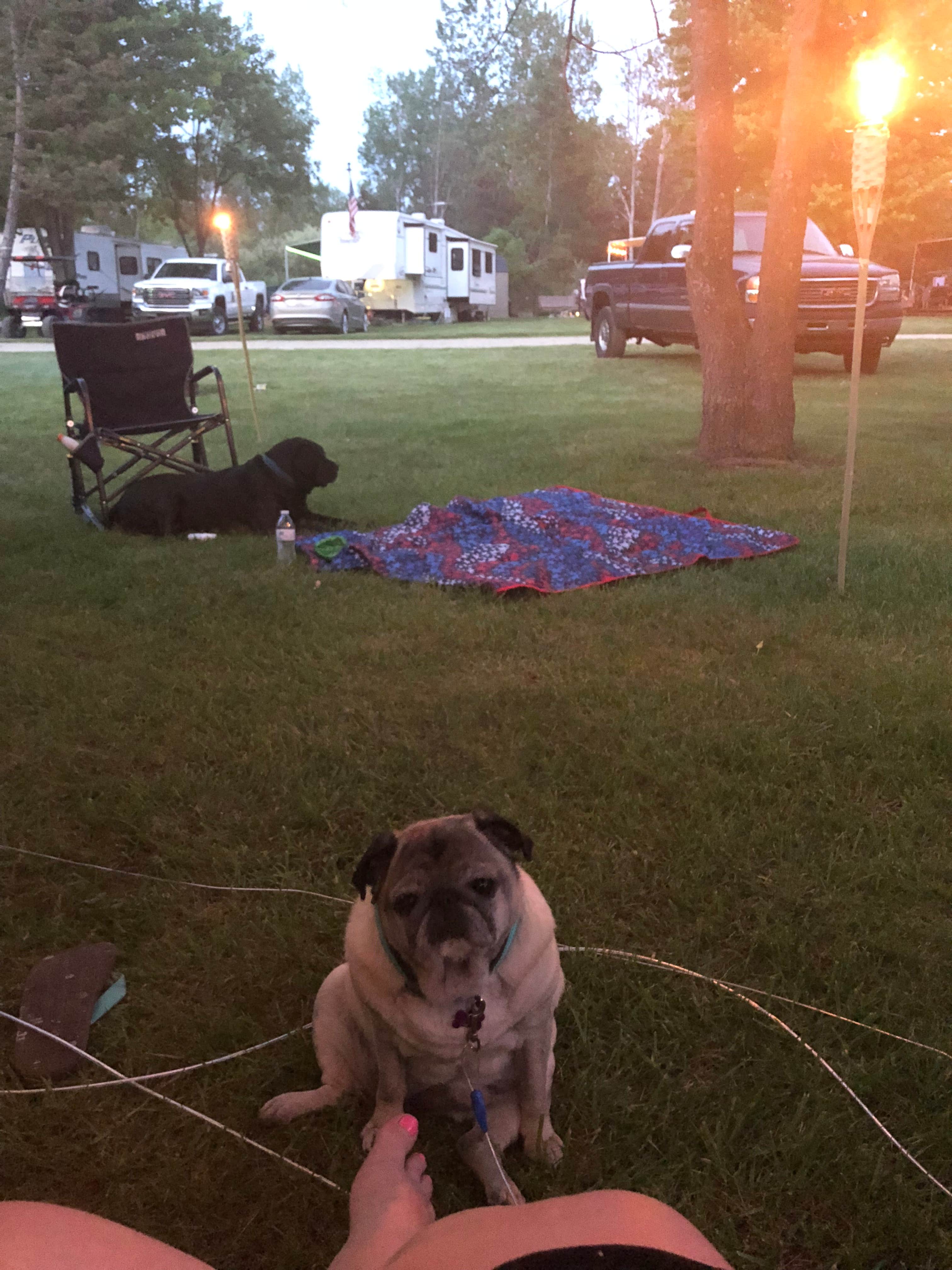 Beth G.'s photo of camping with pets at Walnut Hills Family Campground by GatherGrounds near Corunna, MI