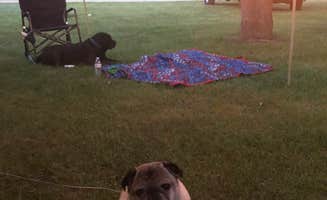 Beth G.'s photo of camping with pets at Walnut Hills Family Campground by GatherGrounds near Okemos, MI
