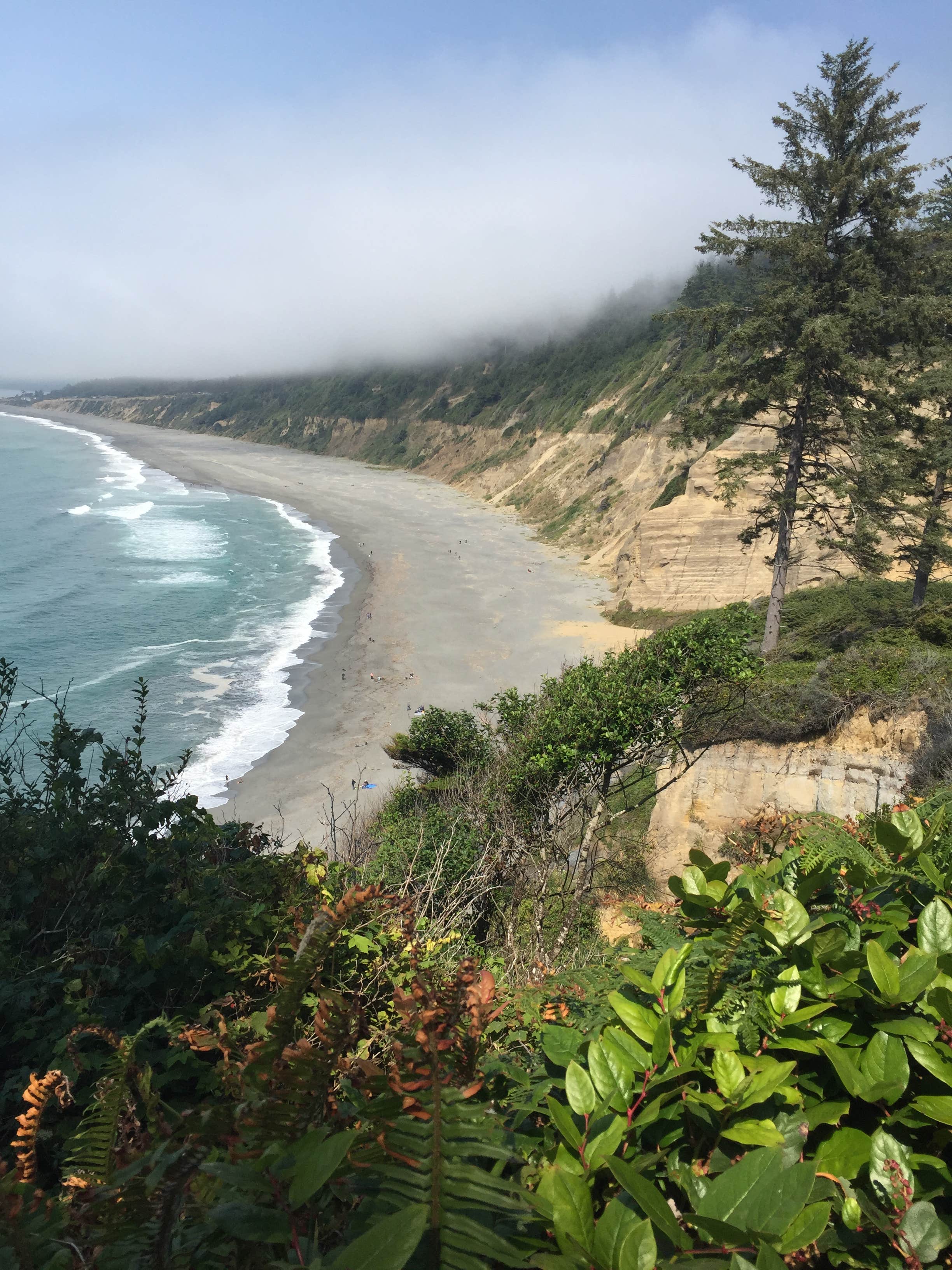 Camper-submitted photo at Penn Campground — Sue-meg State Park near Ferndale, CA