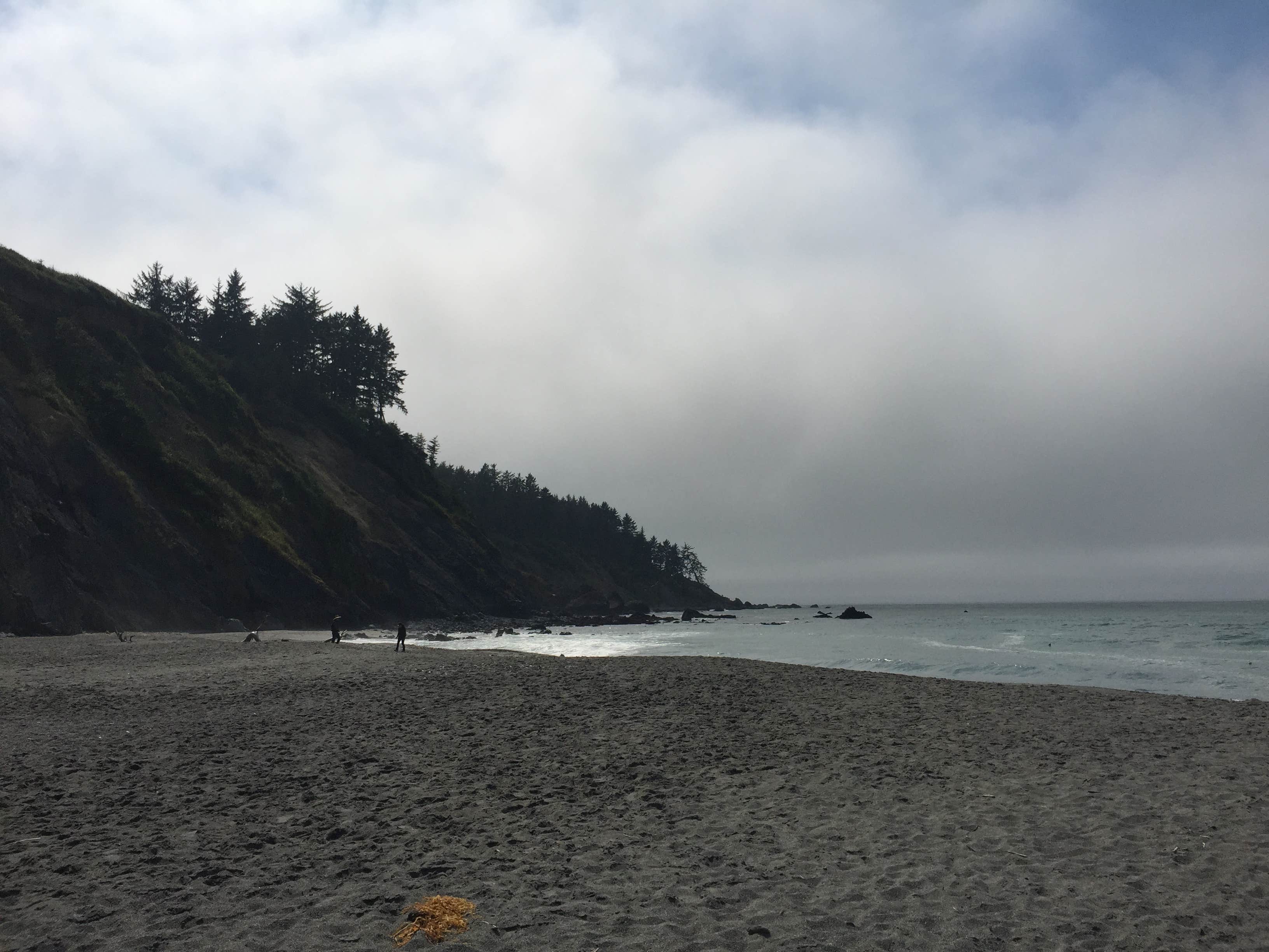 Camper-submitted photo at Penn Campground — Sue-meg State Park near Ferndale, CA