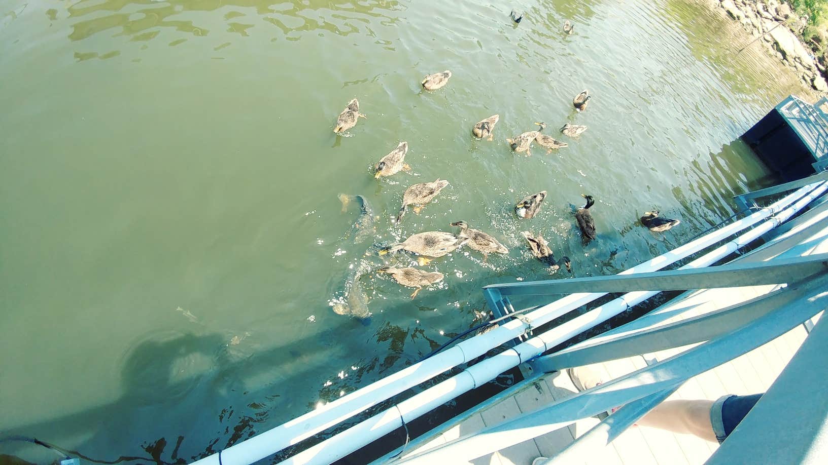 Camper-submitted photo at Keystone State Park Campground near Mannford, OK