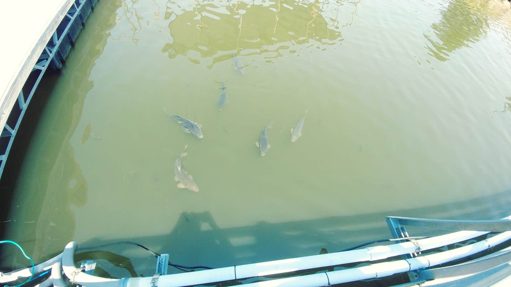 Camper-submitted photo at Keystone State Park Campground near Mannford, OK