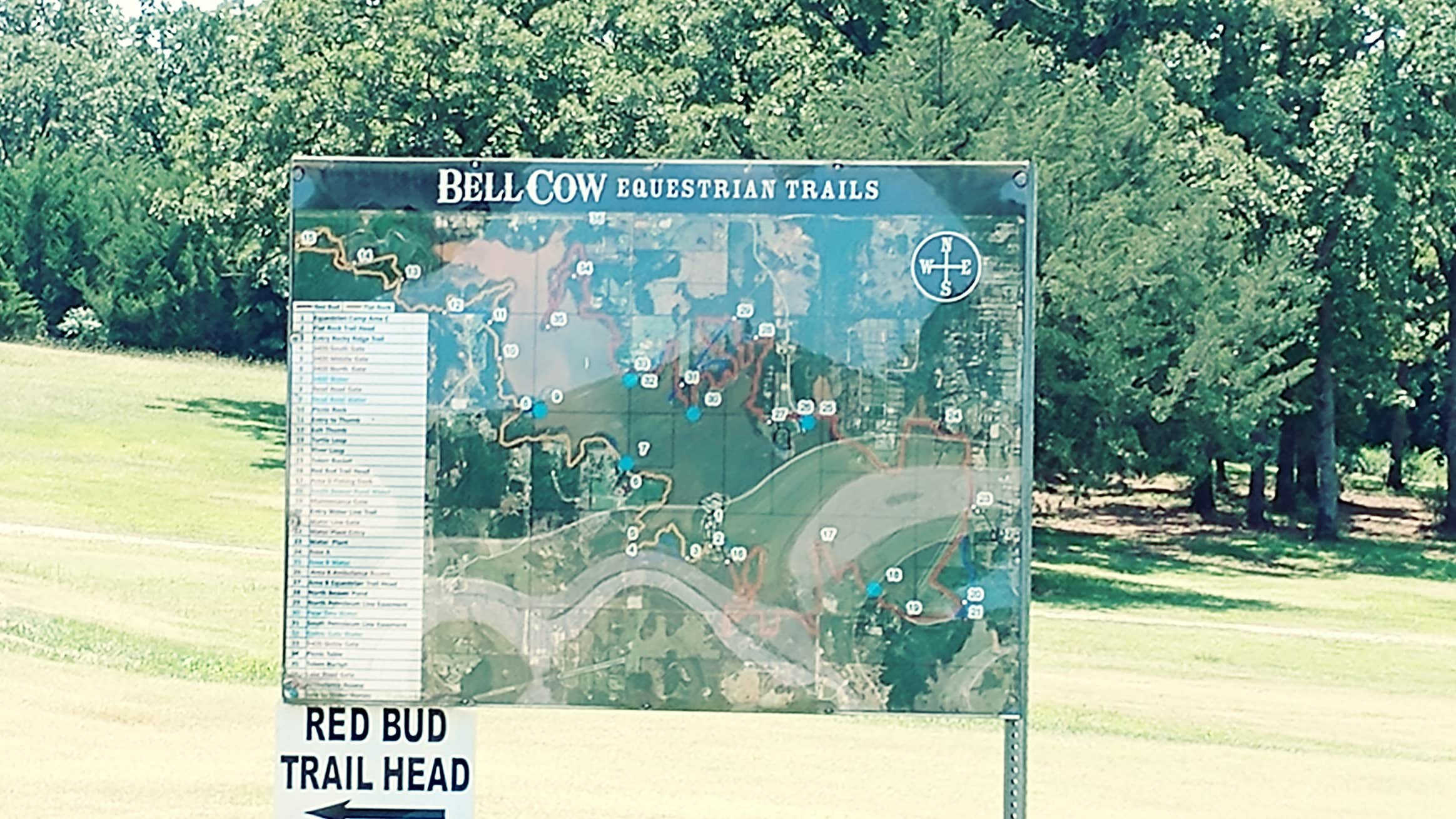 Camper submitted image from Bell Cow Lake Campground C - 5
