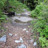 Review photo of Boulder Park Campground by Cadie H., August 4, 2018