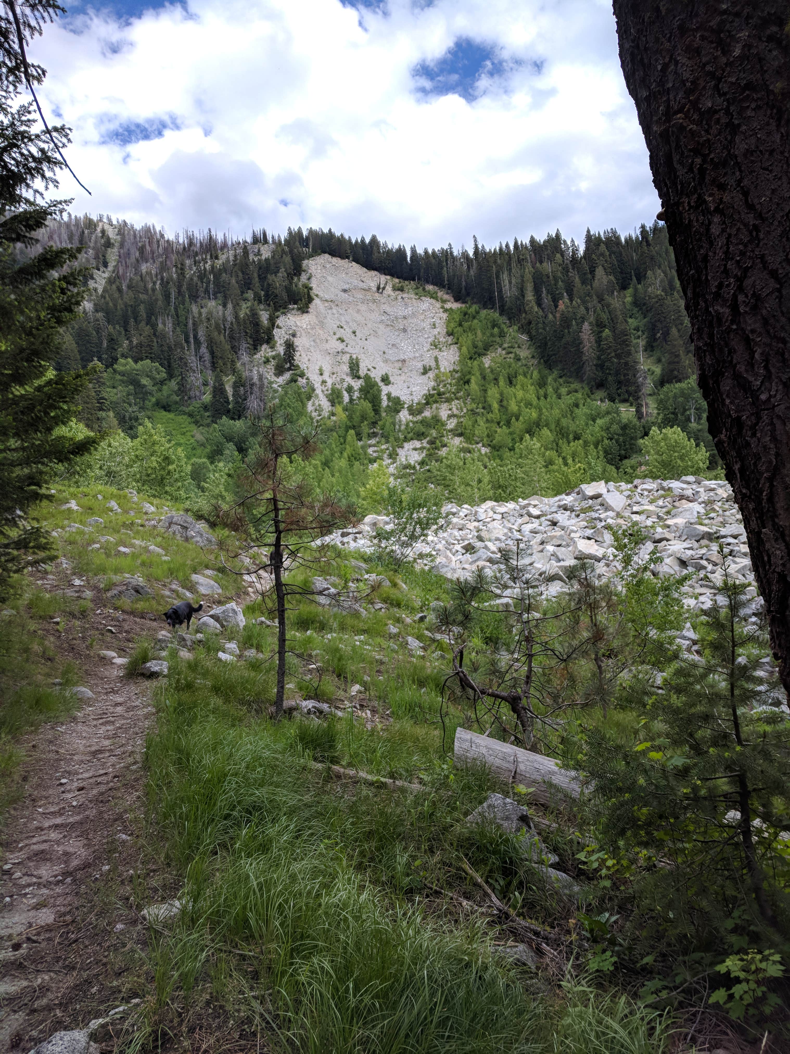 View All