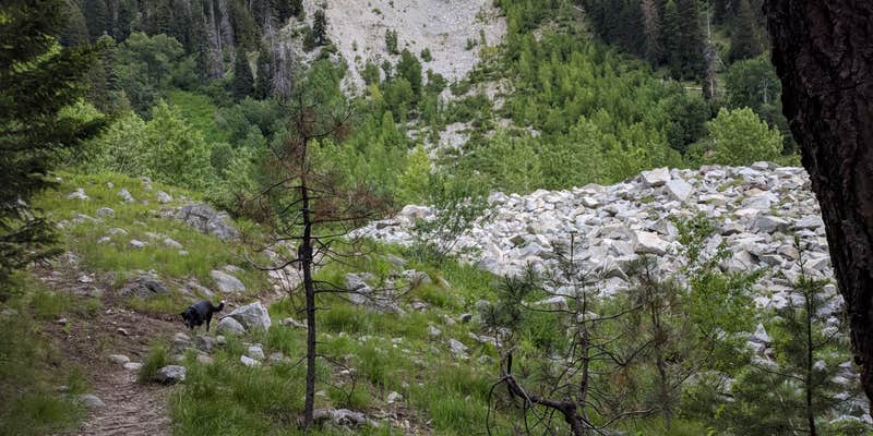 Camper submitted image from Boulder Park Campground