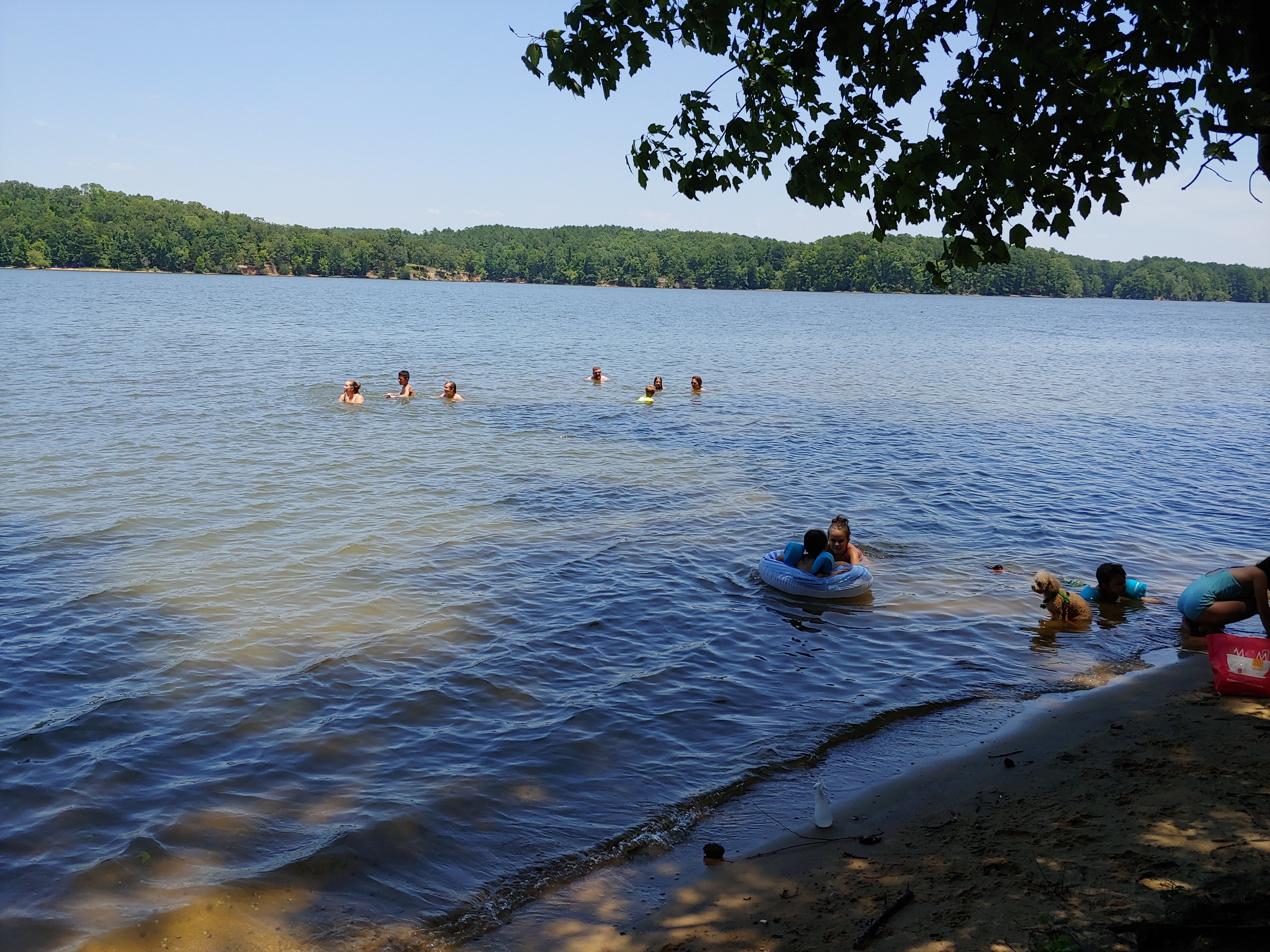 Camper submitted image from Lake Wateree State Park - 3