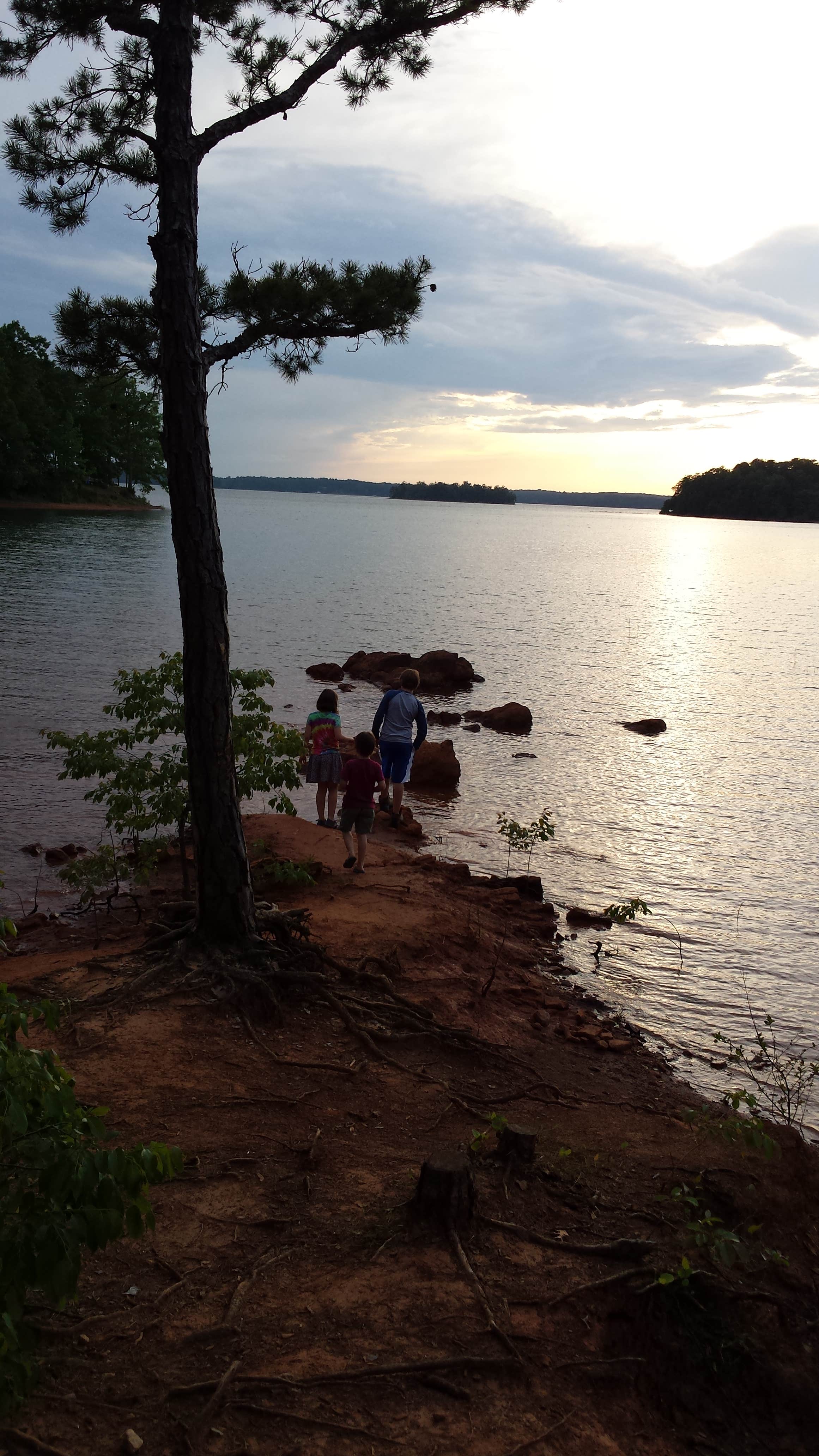 Camper-submitted photo at Sadlers Creek State Park Campground near Hartwell Lake