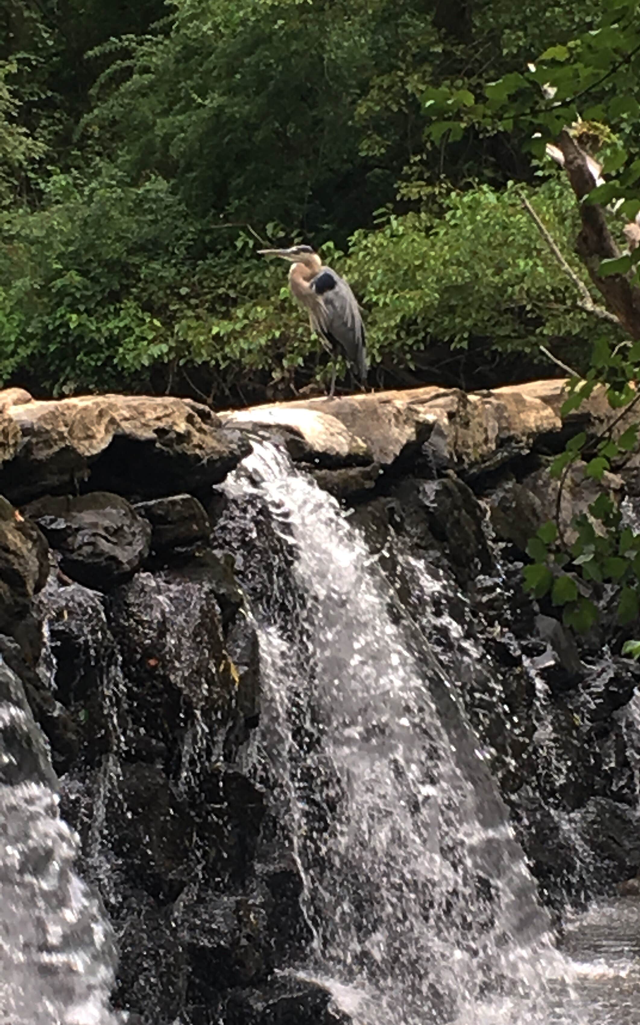 Camper-submitted photo at Group Camp — Ridley Creek State Park near Hockessin, DE