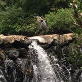 Review photo of Group Camp — Ridley Creek State Park by Mackenzie B., August 4, 2018