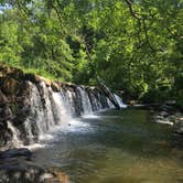 Review photo of Group Camp — Ridley Creek State Park by Mackenzie B., August 4, 2018