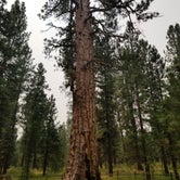 Review photo of LaPine State Park Campground by Jessica P., August 4, 2018