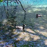 Review photo of Fairholme Campground — Olympic National Park by Bill M., June 11, 2015