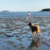 Review photo of Sagadahoc Bay Campground by Ming R., August 4, 2018